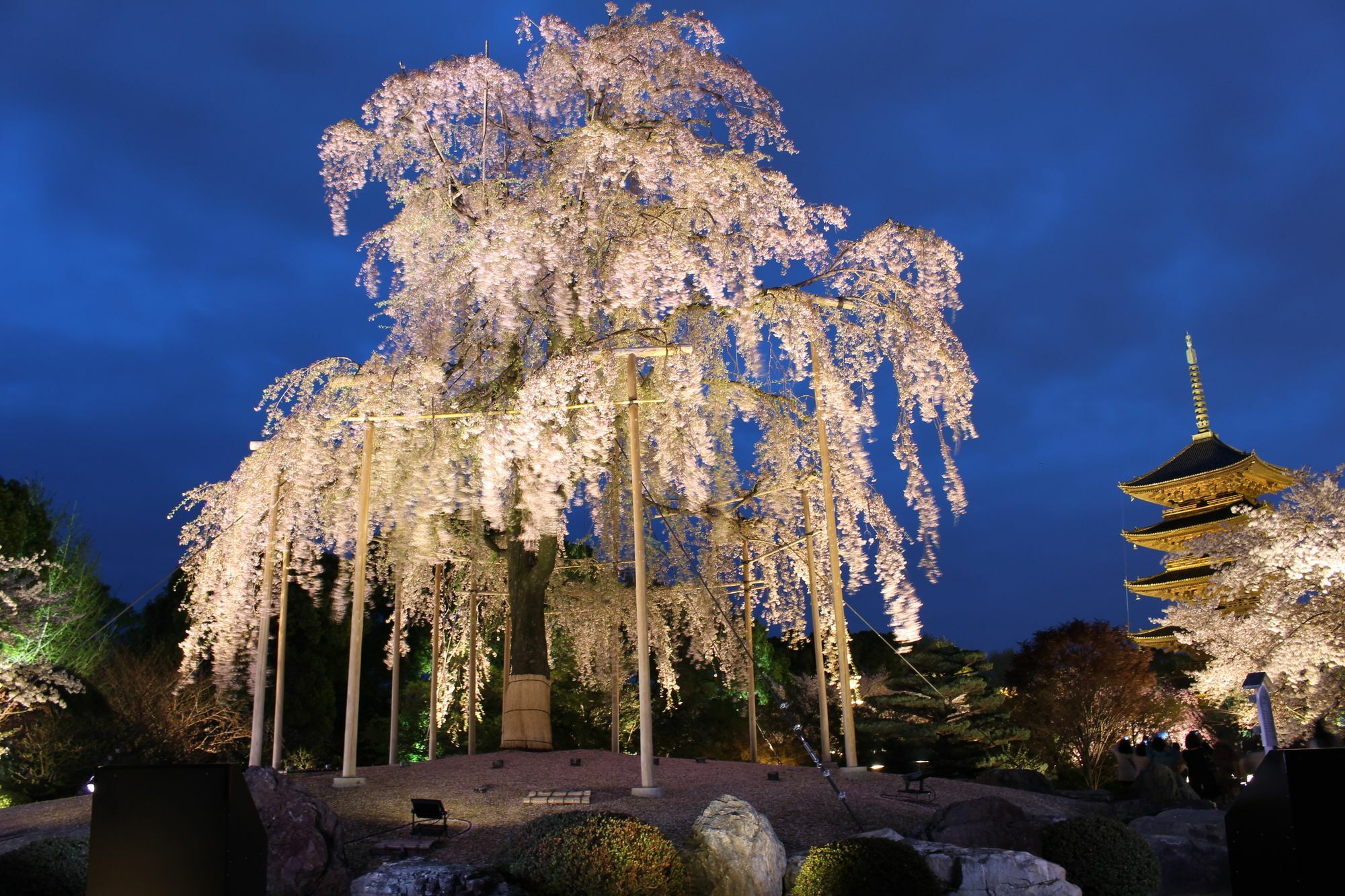 Stay Sakura Kyoto Nijo Seasons Экстерьер фото